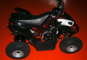 ATV - Quad MADDEX 50 ccm mit Straßenzulassung :: stern-motors